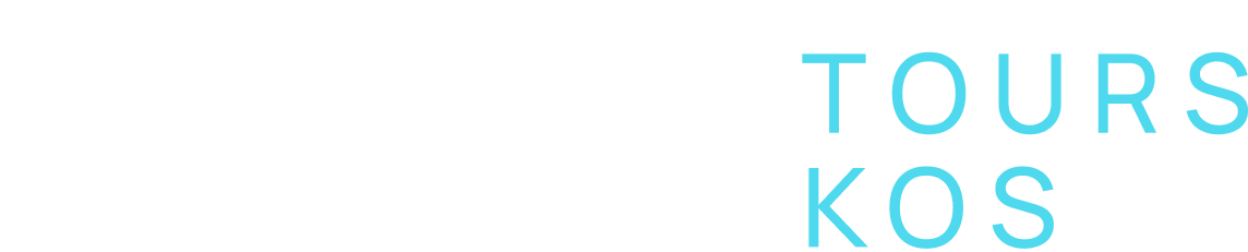 PuliaLogoHorizontal-White